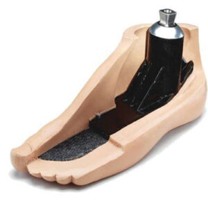Prosthetic feet-functions